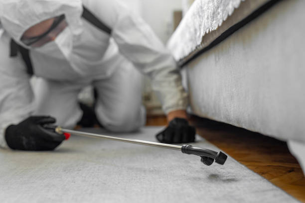 Professional Fumigation Services technician working in Linn County County, IA